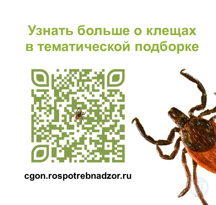 "Горячая линия» по профилактике клещевого энцефалита "Горячая линия» по профилактике клещевого энцефалита.