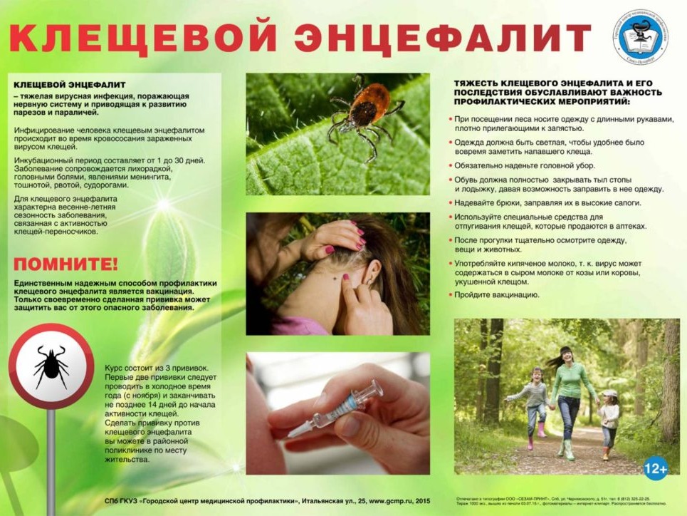 Профилактика клещевого энцефалита и инфекций, передающихся клещами.